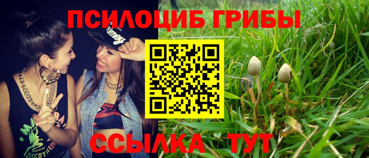 где найти   Галлюциногенные грибы Psilocybine cubensis  Вход с VPN  Дзержинск 