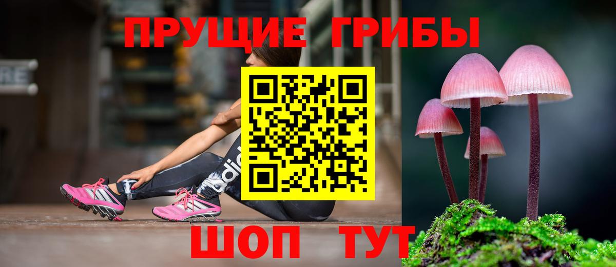 Псилоцибиновые грибы ЛСД Дзержинск